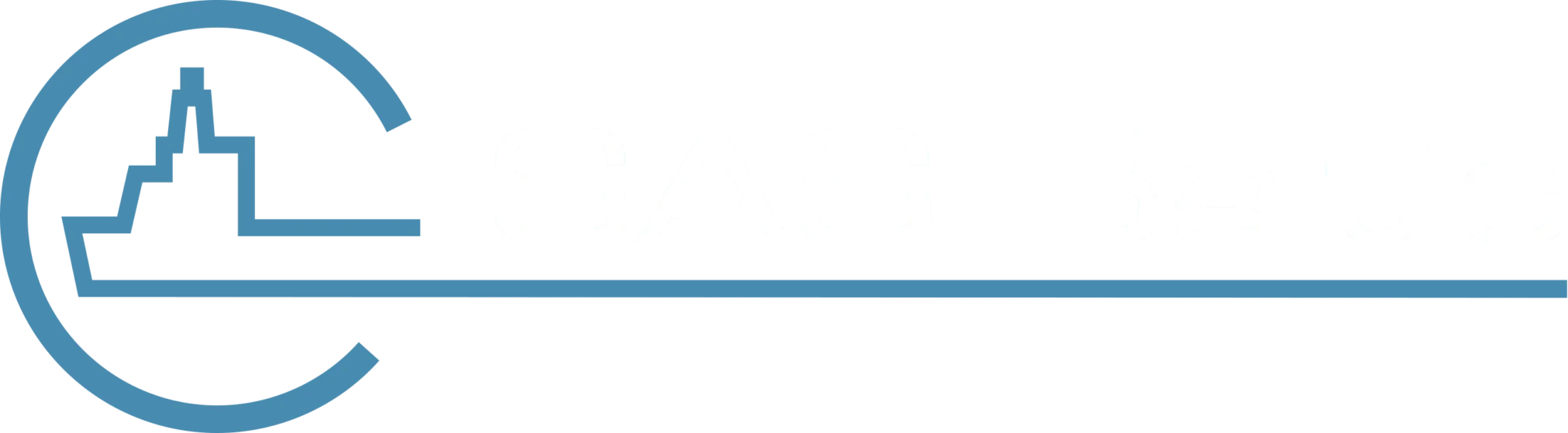 SAS Baltic Logo
